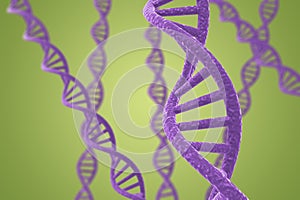 Purple DNA helices on a green background