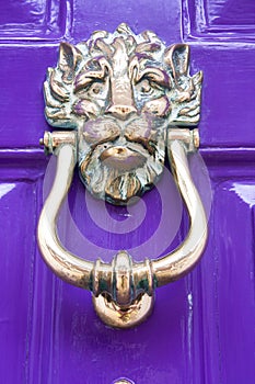 Purple door with lion door knocker