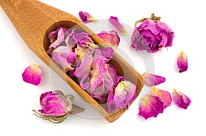 Purple dried petals of rose