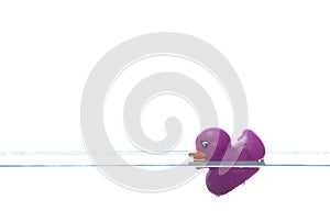 Purple duck sinking