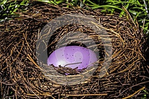 Purple Easter Egg in Birds Nest