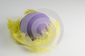 Purple Egg with yellow plume