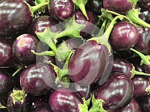 Purple Eggplant