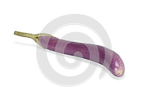 Purple eggplant