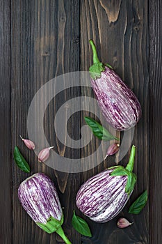 Purple eggplant, garlic and basil leaves from above on the old wooden board with free text space. Fresh harvest from the garden. T