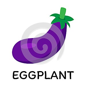 Purple eggplant, vector illustration in cartoon flat stye. Food and vegetable concept. Print for recipes, restaurant