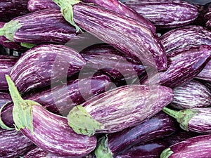 Purple Eggplants for Sale, Greek Street Market