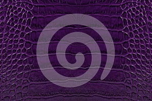 Purple embossed leather texture background