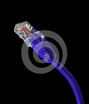 Purple Ethernet Cable