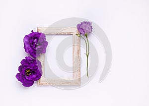 purple eustoma flowers in wooden frame.