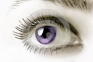 Purple Eye