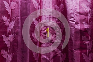 Purple Fabric in Thai Train with Stiched Number One