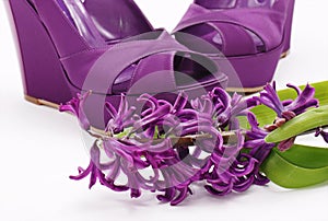 Purple fashion shoes and flower