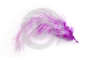 Purple feather