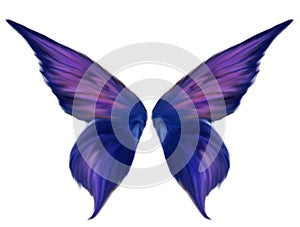 Purple Feathered Fairy Wings