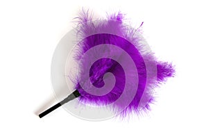 Purple Feathered fetish equipment