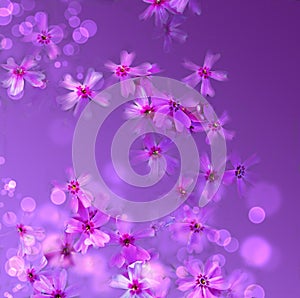 Purple floral background