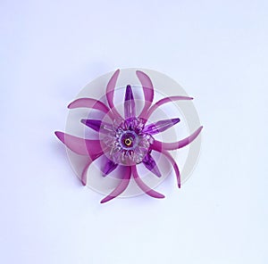 Purple flower broach