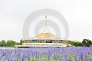 Purple flower with building