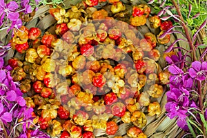 the purple flower is fireweed and cloudberries