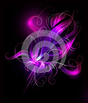 Purple flower over black background