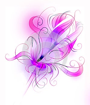 Purple flower over white background