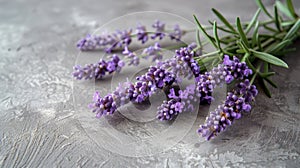 Purple Flowers Arranged on Table