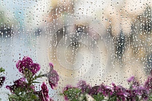 Purple flowers behind the wet window with rain drops, blurred street bokeh. Concept of spring weather, seasons, modern