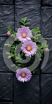 Purple Flowers On Black Brick Tiles: A Stunning Visual Composition photo