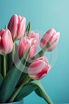 Purple flowers in the garden Spring purple tulips on a Blue background