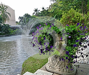 Purple flowers in garden vase