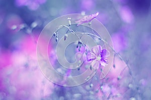 Purple flowers on linen colored background. Art image of wild flowers. Selective soft focus photo