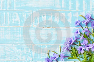 Purple Flowers on a pastel bright blue wooden background.