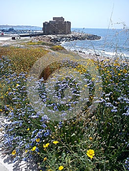 Purple flowers by the seashore castle