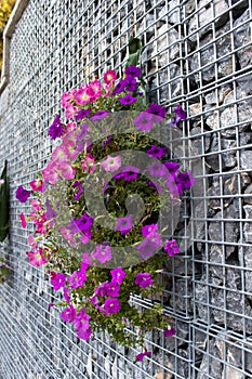 Purple Flowers on the Stone Cage for a decoration on outdoor