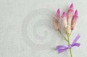 Purple flowers tied with a purple bow