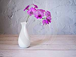 Purple flowers in vase on the table,Purple-pink flower orchids still life background or wallapper cooktown ,Dendrobium bigibbum ma