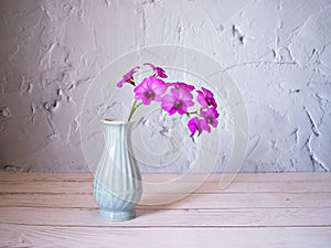 Purple flowers in vase on the table,Purple-pink flower orchids still life background or wallapper cooktown ,Dendrobium bigibbum ma