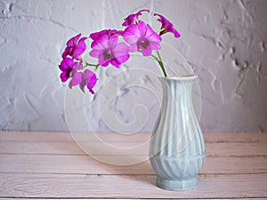 Purple flowers in vase on the table,Purple-pink flower orchids still life background or wallapper cooktown ,Dendrobium bigibbum ma
