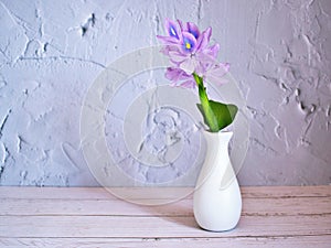Purple flowers in vase on the table,Purple-pink flower still life on texture background or wallpaper Common water hyacinth Eichhor