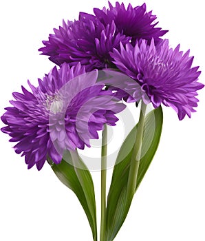 purple flowers lorem ipsum dolor sit amet. AI- Generated photo