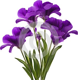 purple flowers lorem ipsum dolor sit amet. AI- Generated photo