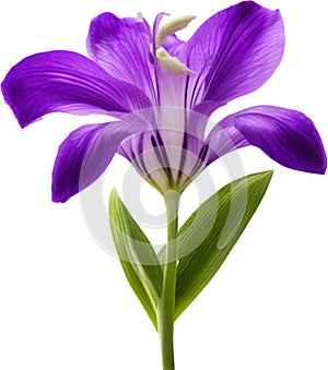 purple flowers lorem ipsum dolor sit amet. AI- Generated