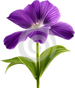 purple flowers lorem ipsum dolor sit amet. AI- Generated photo