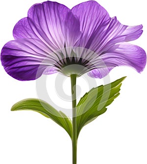 purple flowers lorem ipsum dolor sit amet. AI- Generated photo