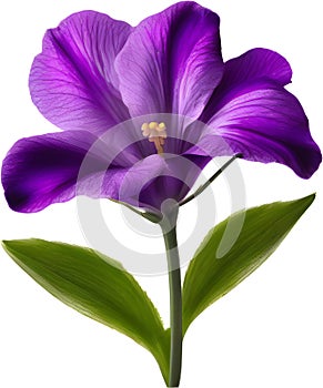 purple flowers lorem ipsum dolor sit amet. AI- Generated photo