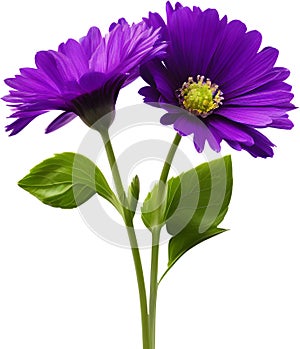 purple flowers lorem ipsum dolor sit amet. AI- Generated photo