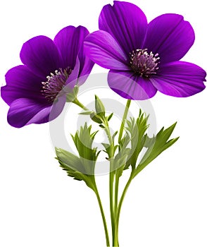 purple flowers lorem ipsum dolor sit amet. AI- Generated photo