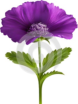 purple flowers lorem ipsum dolor sit amet. AI- Generated photo