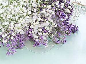 Purple flowers with white gypsophila on turquoise spring background